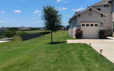 Photo of Becky W.'s yard after getting lawn care in Dallas, TX