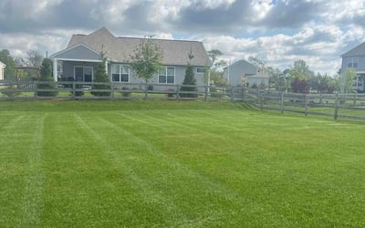 Photo of Kerri B.'s yard after getting lawn care in Maineville, OH