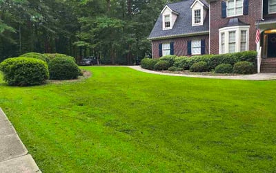 Photo of Dante H.'s yard after getting lawn care in Waterbury, CT