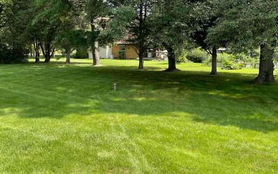 Photo of Meg L.'s yard after getting lawn care in Santa Ana, CA