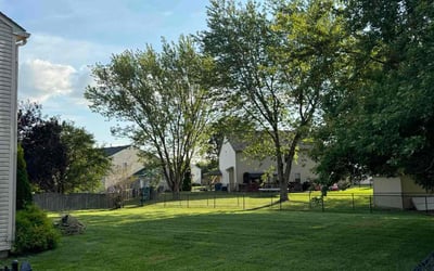 Photo of Victoria A.'s yard after getting lawn care in Lebanon, IN