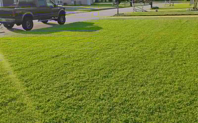 Photo of Marlow B.'s yard after getting lawn care in Taylorsville, NC