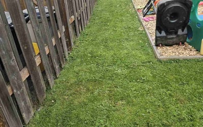 Photo of Alexandra C.'s yard after getting lawn care in Gladstone, OR
