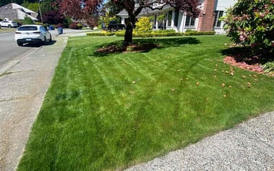 Photo of Vanessa S.'s yard after getting lawn care in Littleton, CO