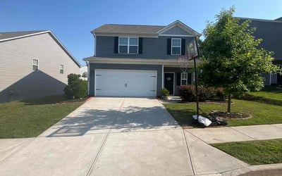 Photo of Elizabeth F.'s yard after getting lawn care in Gretna, LA