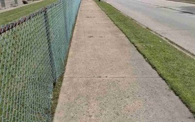 Photo of Elizabeth M.'s yard after getting lawn care in Chicago Ridge, IL
