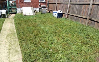 Photo of Khail D.'s yard after getting lawn care in La Grange Park, IL