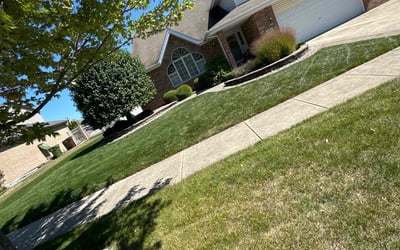 Photo of Cynthia W.'s yard after getting lawn care in Tinley Park, IL