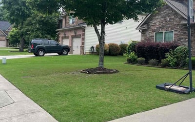 Photo of Toyin A.'s yard after getting lawn care in Sicklerville, NJ