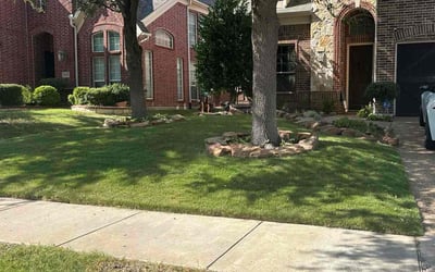 Photo of Sam E.'s yard after getting lawn care in Plano, TX