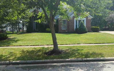 Photo of Heather J.'s yard after getting lawn care in Strongsville, OH