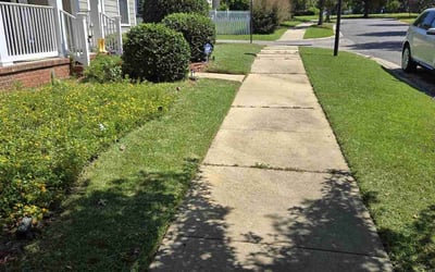 Photo of Kassandra P.'s yard after getting lawn care in Havana, FL