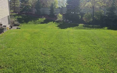 Photo of Deborah W.'s yard after getting lawn care in Plymouth, MN