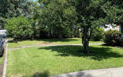Photo of Hollie B.'s yard after getting lawn care in Blacklick, OH
