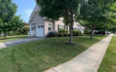 Photo of Staci M.'s yard after getting lawn care in Havertown, PA