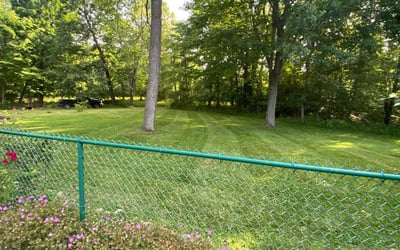 Photo of Evelyn R.'s yard after getting lawn care in Euclid, OH
