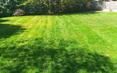 Photo of Karen L.'s yard after getting lawn care in Lynnwood, WA
