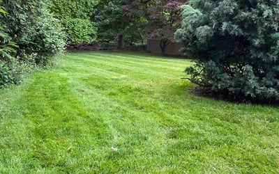 Photo of Chuck B.'s yard after getting lawn care in Jenkintown, PA