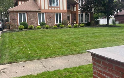 Photo of Jane E.'s yard after getting lawn care in Westlake, OH