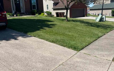 Photo of Andre F.'s yard after getting lawn care in Gaithersburg, MD