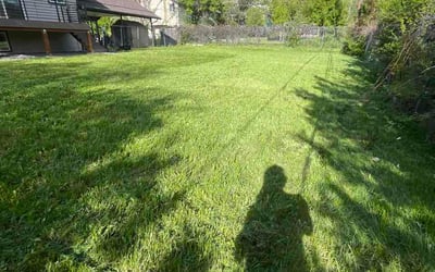 Photo of Freddy C.'s yard after getting lawn care in Alsip, IL