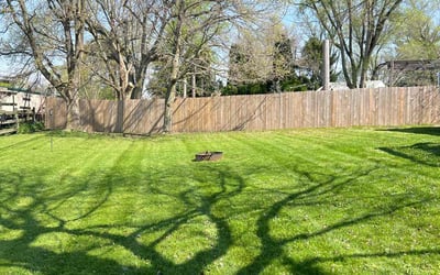 Photo of Amanda N.'s yard after getting lawn care in Galloway, OH