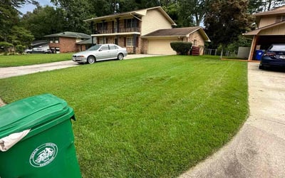 Photo of Anthony L.'s yard after getting lawn care in Decatur, AL