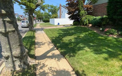 Photo of Jarrett W.'s yard after getting lawn care in Baldwin, NY