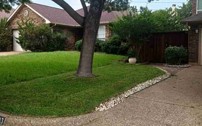 Photo of David U.'s yard after getting lawn care in Richmond, VA