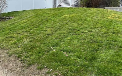Photo of Letha H.'s yard after getting lawn care in Haverhill, MA