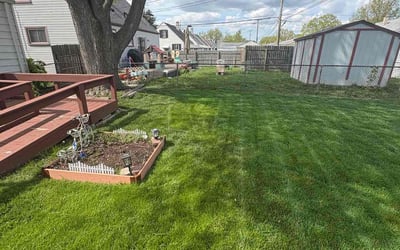 Photo of Tiffany T.'s yard after getting lawn care in Modesto, CA