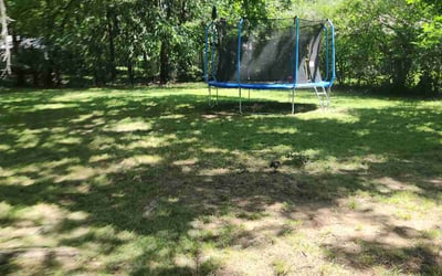 Photo of Brittany L.'s yard after getting lawn care in Rutherford, NJ