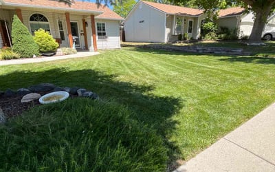 Photo of Megan O.'s yard after getting lawn care in San Jose, CA