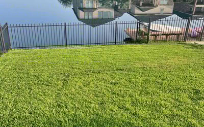 Photo of Jorge H.'s yard after getting lawn care in Lansing, MI