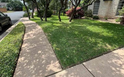 Photo of Melissa C.'s yard after getting lawn care in Central Point, OR
