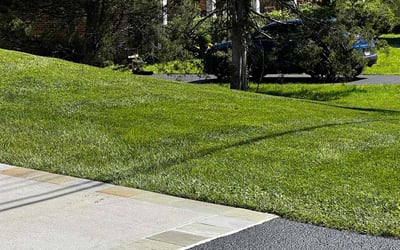 Photo of Edward O.'s yard after getting lawn care in Parrish, FL