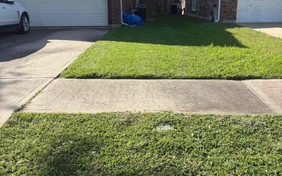 Photo of Ameila C.'s yard after getting lawn care in Richmond, TX
