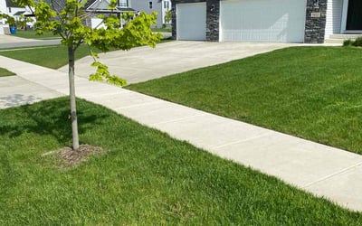 Photo of Aimee M.'s yard after getting lawn care in Demotte, IN