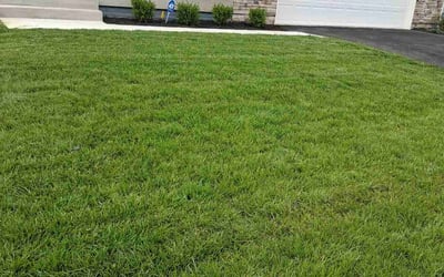 Photo of Cheryl M.'s yard after getting lawn care in Oxon Hill, MD
