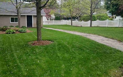 Photo of Lawrence Y.'s yard after getting lawn care in Clemson, SC