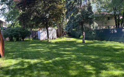 Photo of Patricia N.'s yard after getting lawn care in Champlin, MN