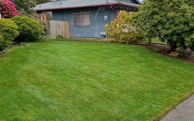 Photo of Alyssa N.'s yard after getting lawn care in Tacoma, WA