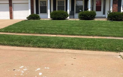 Photo of Ramon G.'s yard after getting lawn care in Bartlett, IL