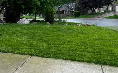 Photo of Henry J.'s yard after getting lawn care in Ankeny, IA