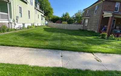 Photo of Francisco R.'s yard after getting lawn care in Riverdale, IL