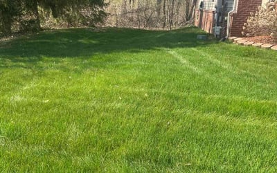 Photo of Greg S.'s yard after getting lawn care in Wixom, MI