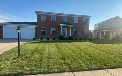 Photo of Itohan O.'s yard after getting lawn care in Munster, IN
