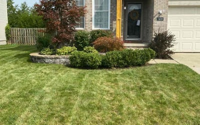 Photo of Robert N.'s yard after getting lawn care in Dearborn, MI