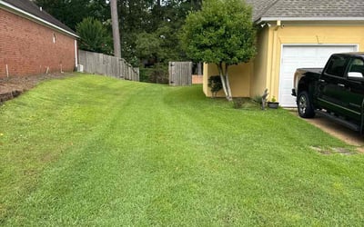 Photo of Claudio H.'s yard after getting lawn care in Suitland, MD
