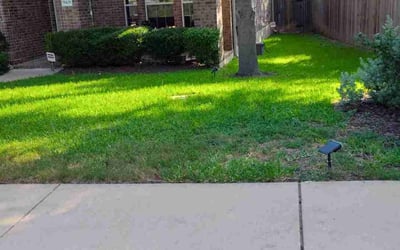 Photo of Shirley F.'s yard after getting lawn care in Round Rock, TX